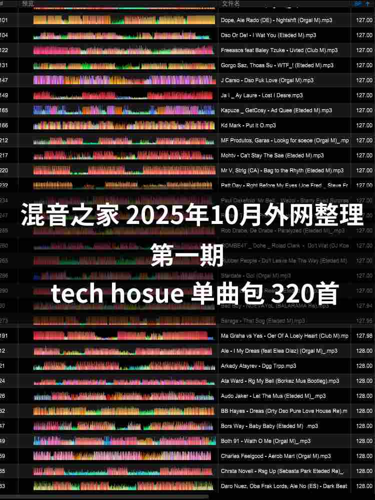 混音之家10月外网整理 tech house 320首专业打碟歌单
